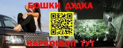гидра Жуковский