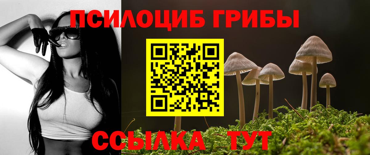 Мценск  Псилоцибиновые грибы Psilocybine cubensis  цены   Вход с VPN 